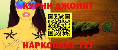 крисы Новодвинск