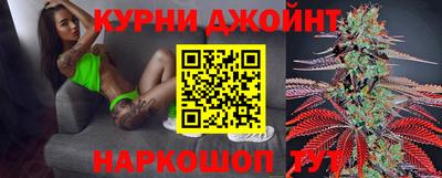 крисы Новодвинск